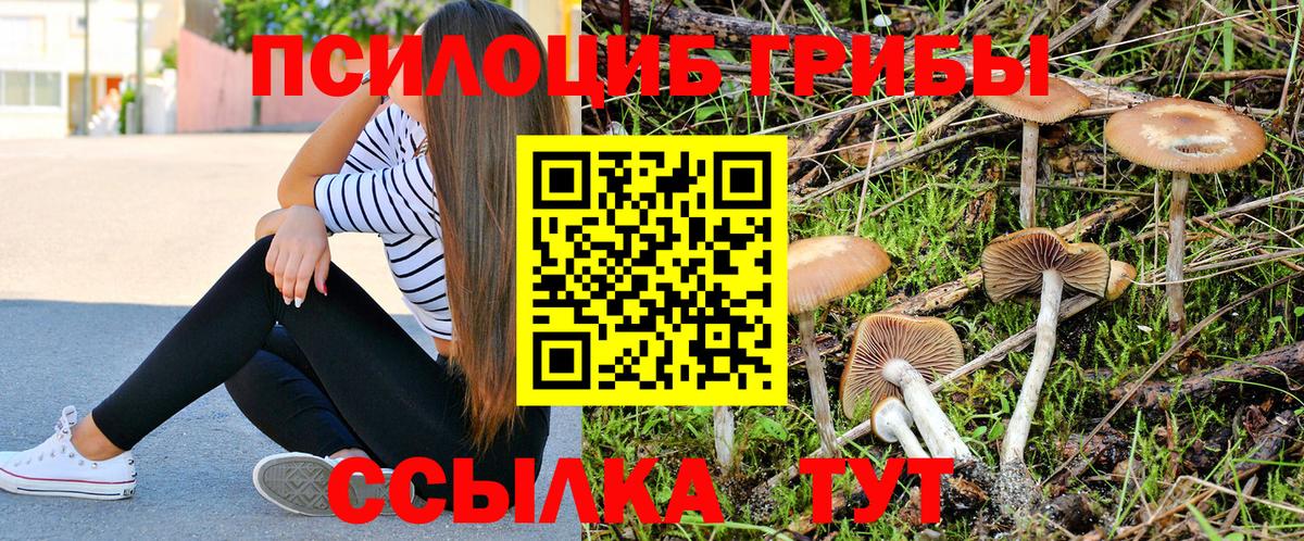 Галлюциногенные грибы GOLDEN TEACHER  Вход с VPN  Обь 
