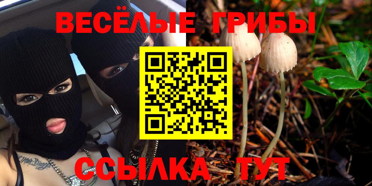 Галлюциногенные грибы GOLDEN TEACHER Обь